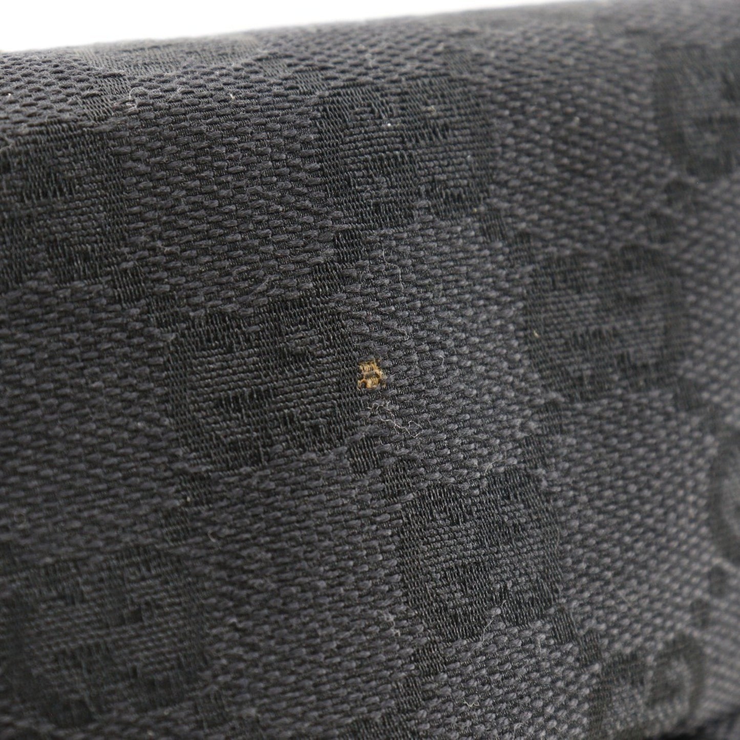 Gucci GG canvas