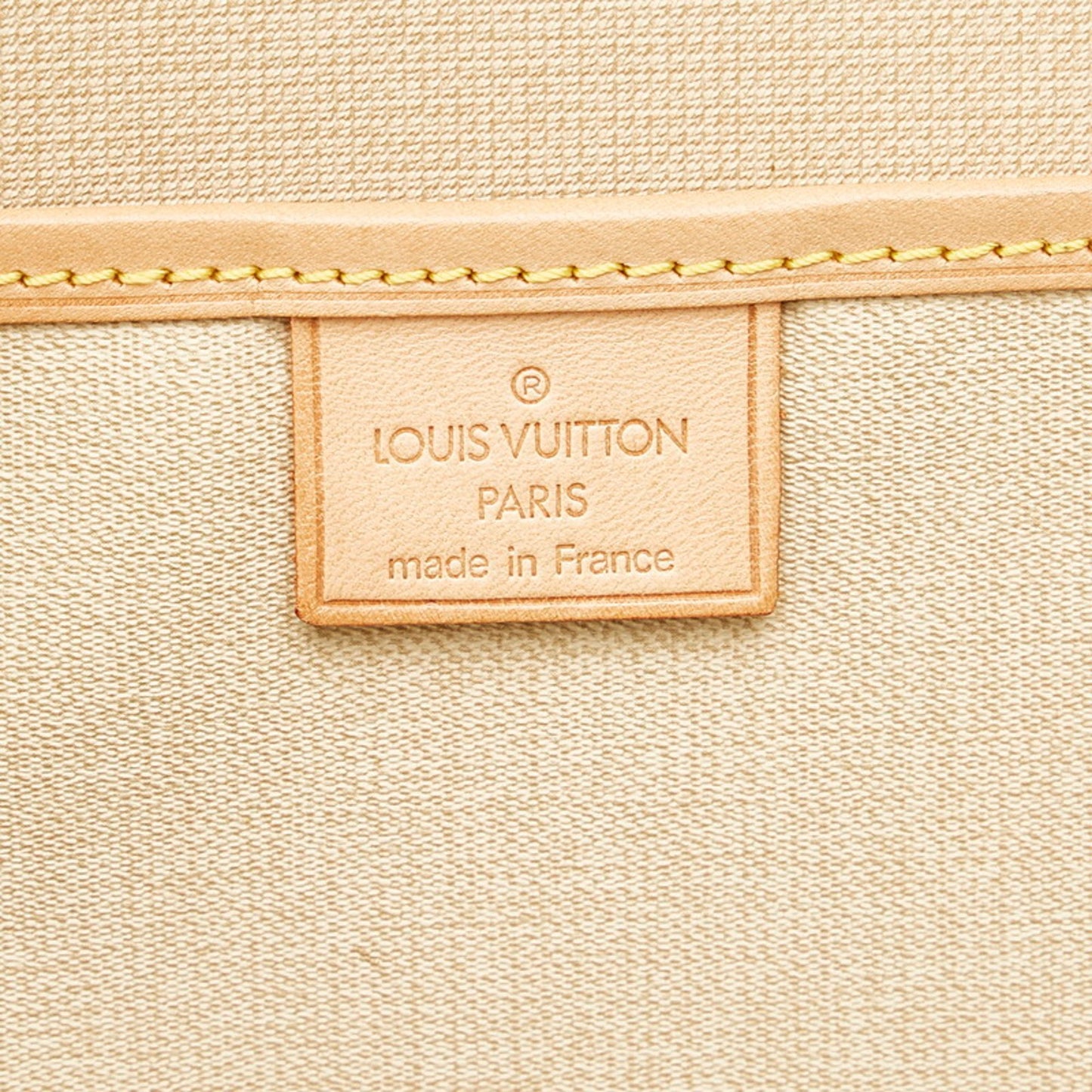 Louis Vuitton Excursion