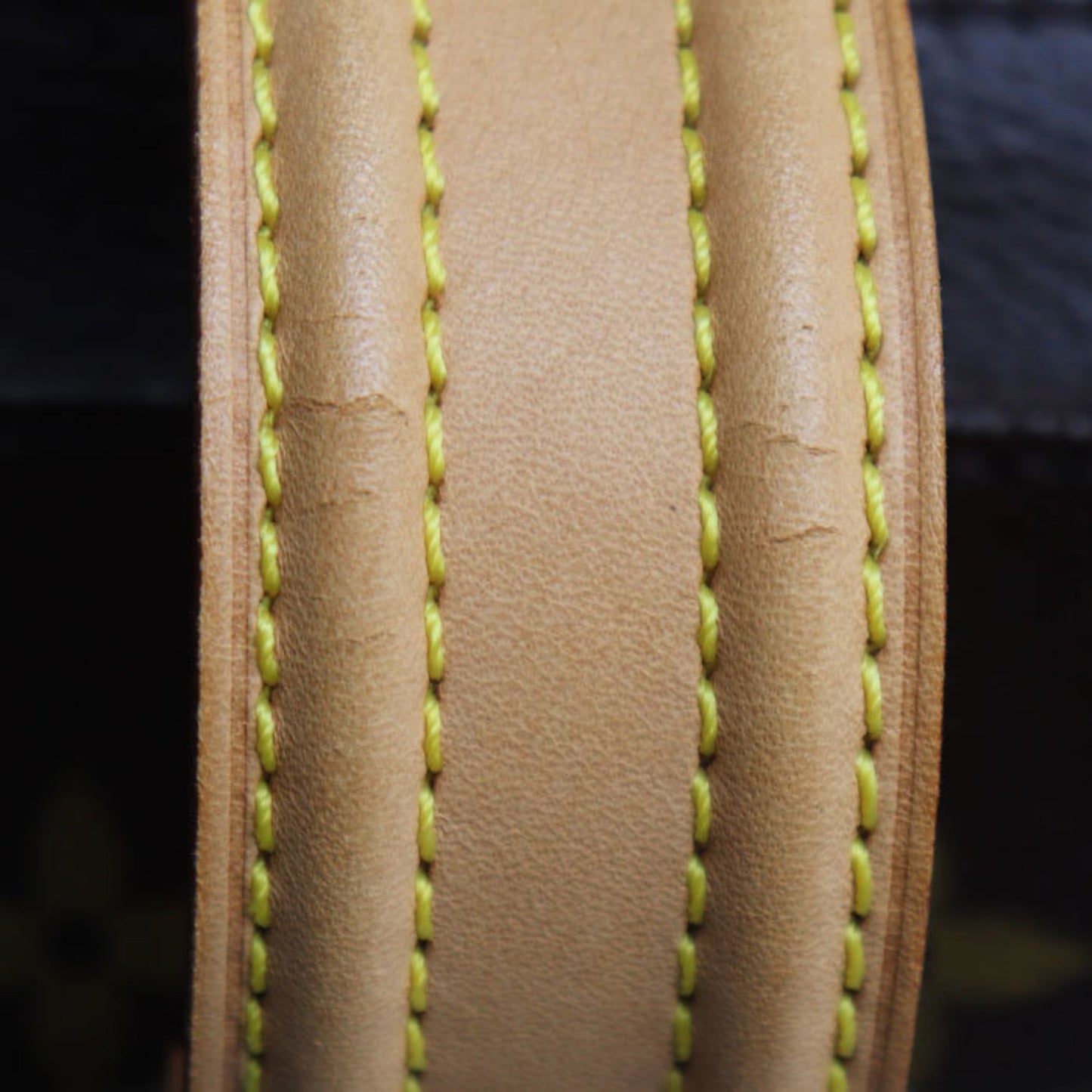Louis Vuitton Multipli Cité