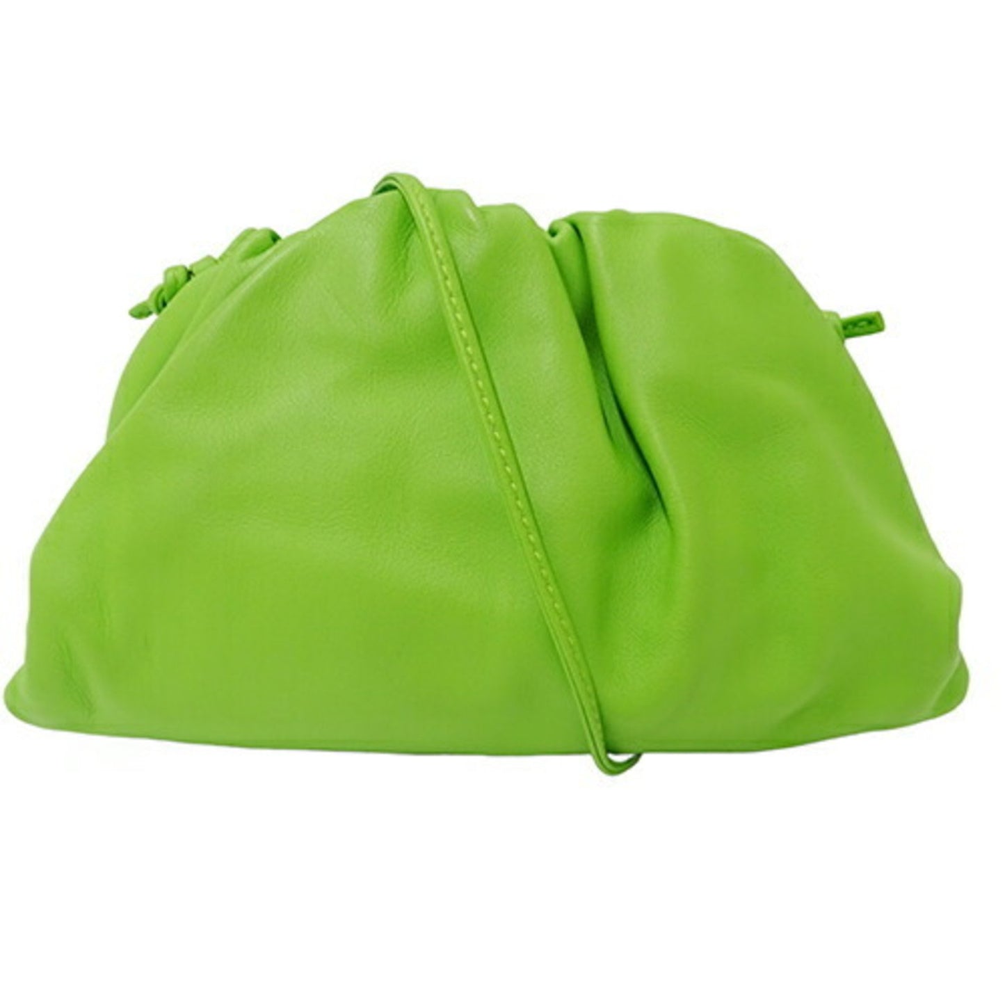 Bottega Veneta The pouch