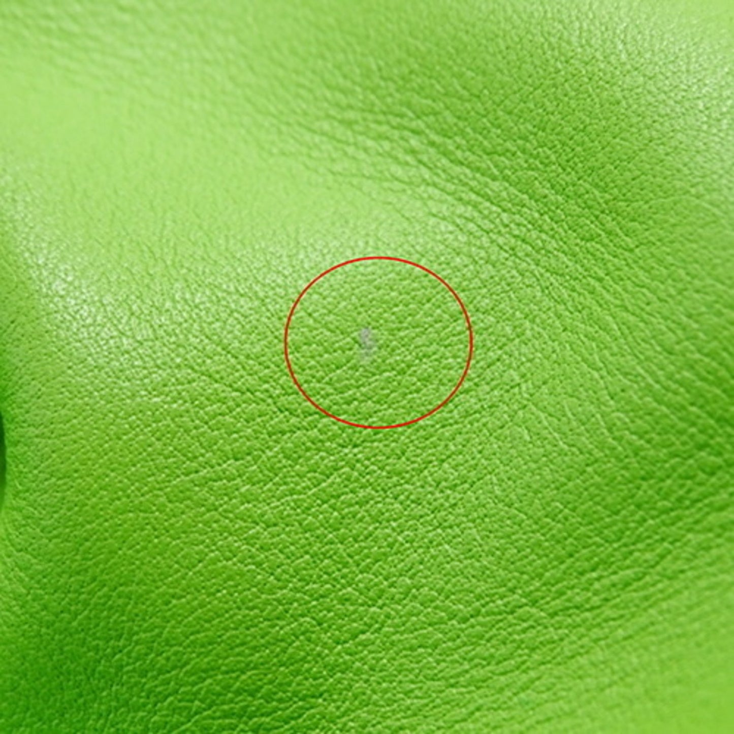 Bottega Veneta The pouch