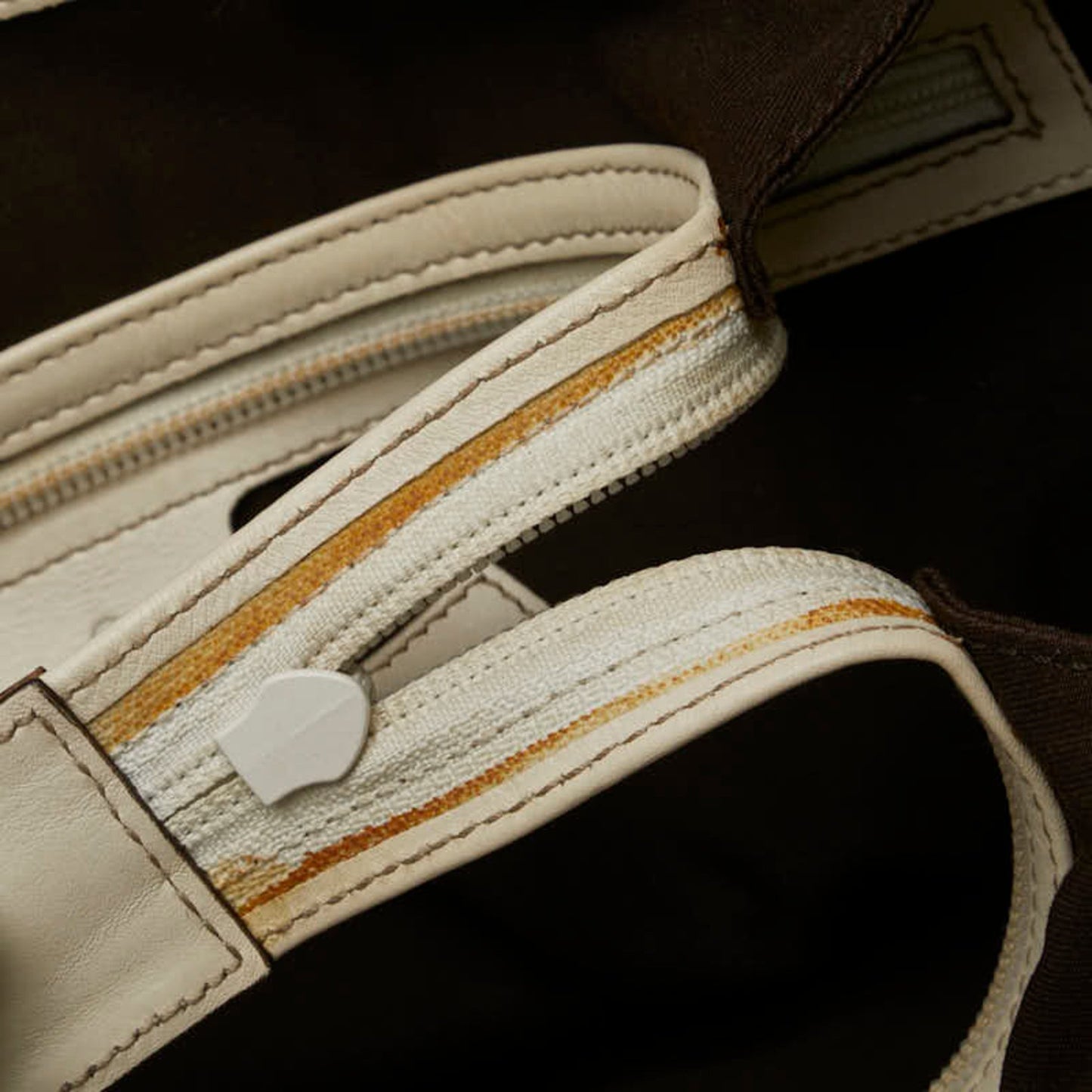 Gucci GG canvas