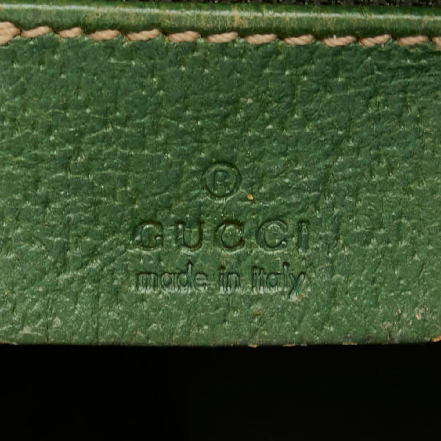 Gucci GG canvas