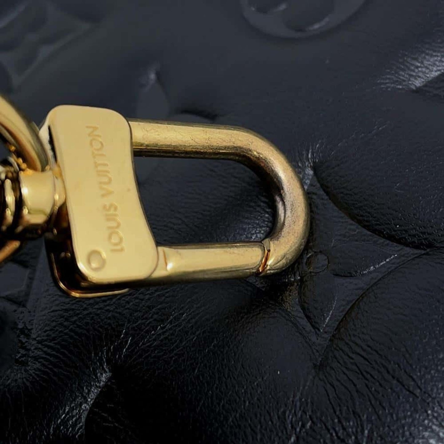 Louis Vuitton Coussin