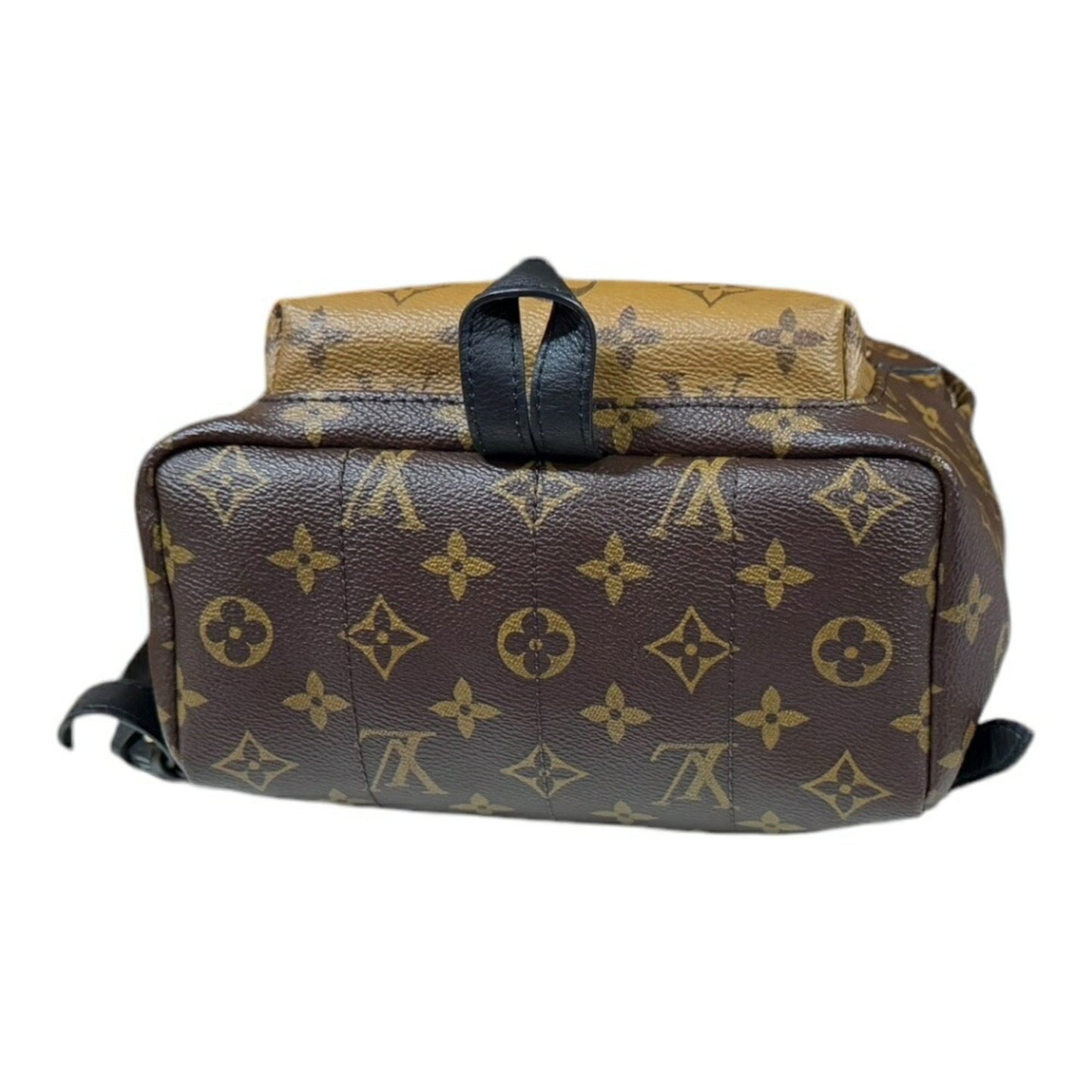 Louis Vuitton Palm Springs