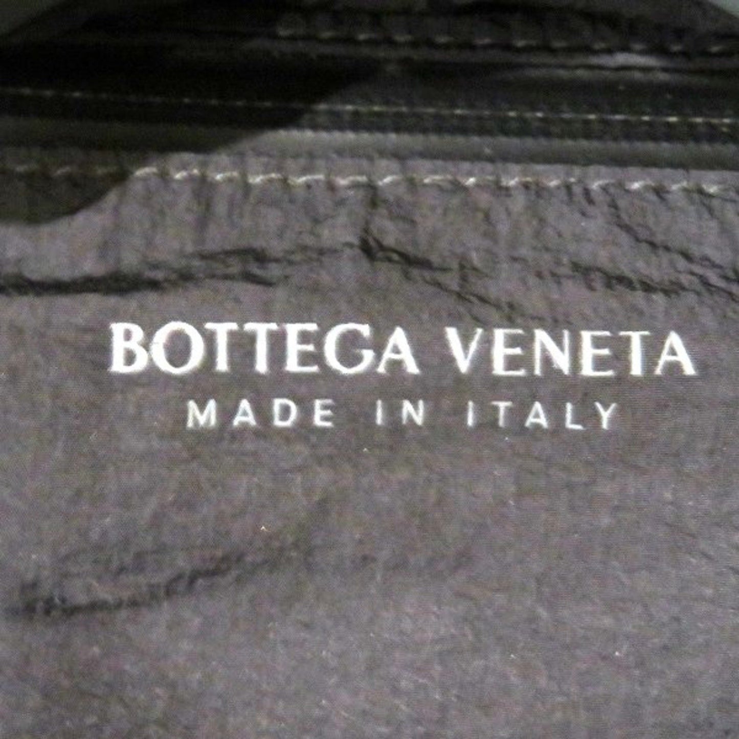 Bottega Veneta The pouch