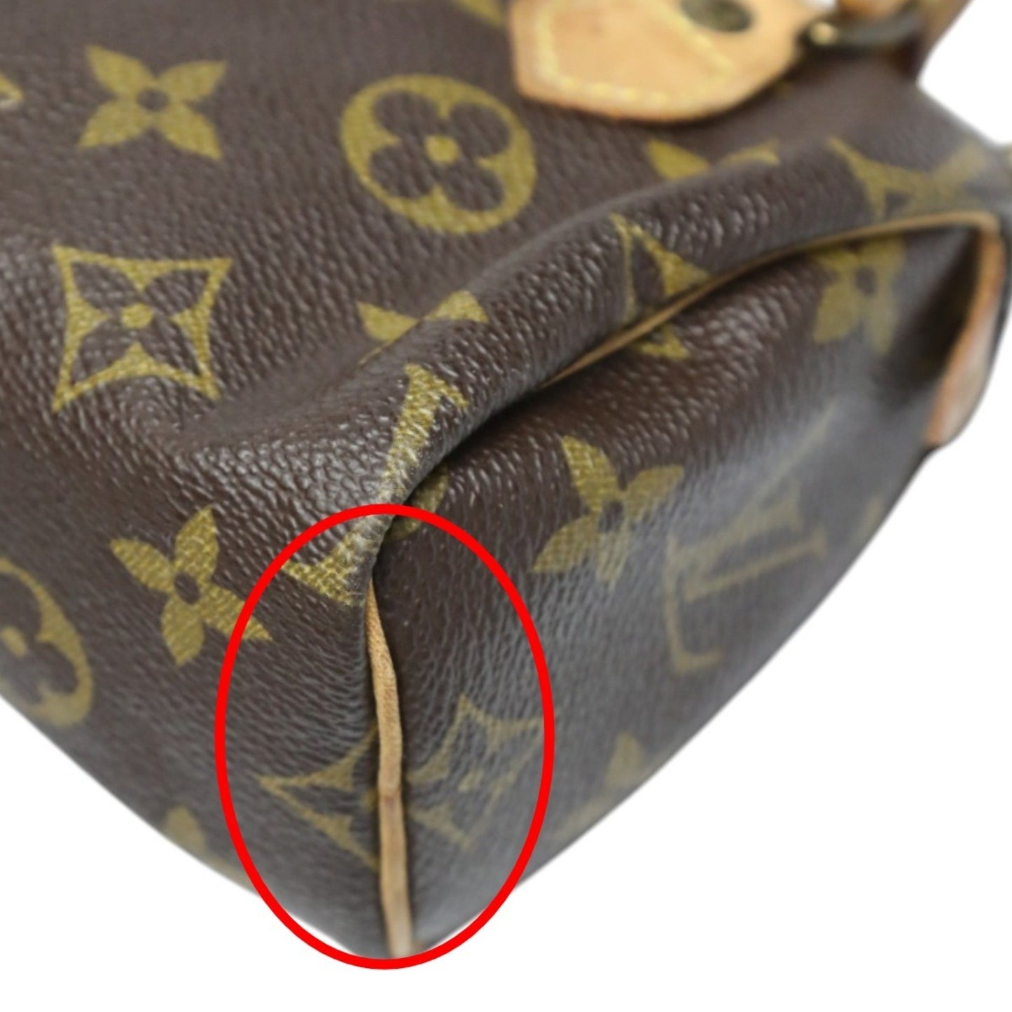 Louis Vuitton Mini speedy
