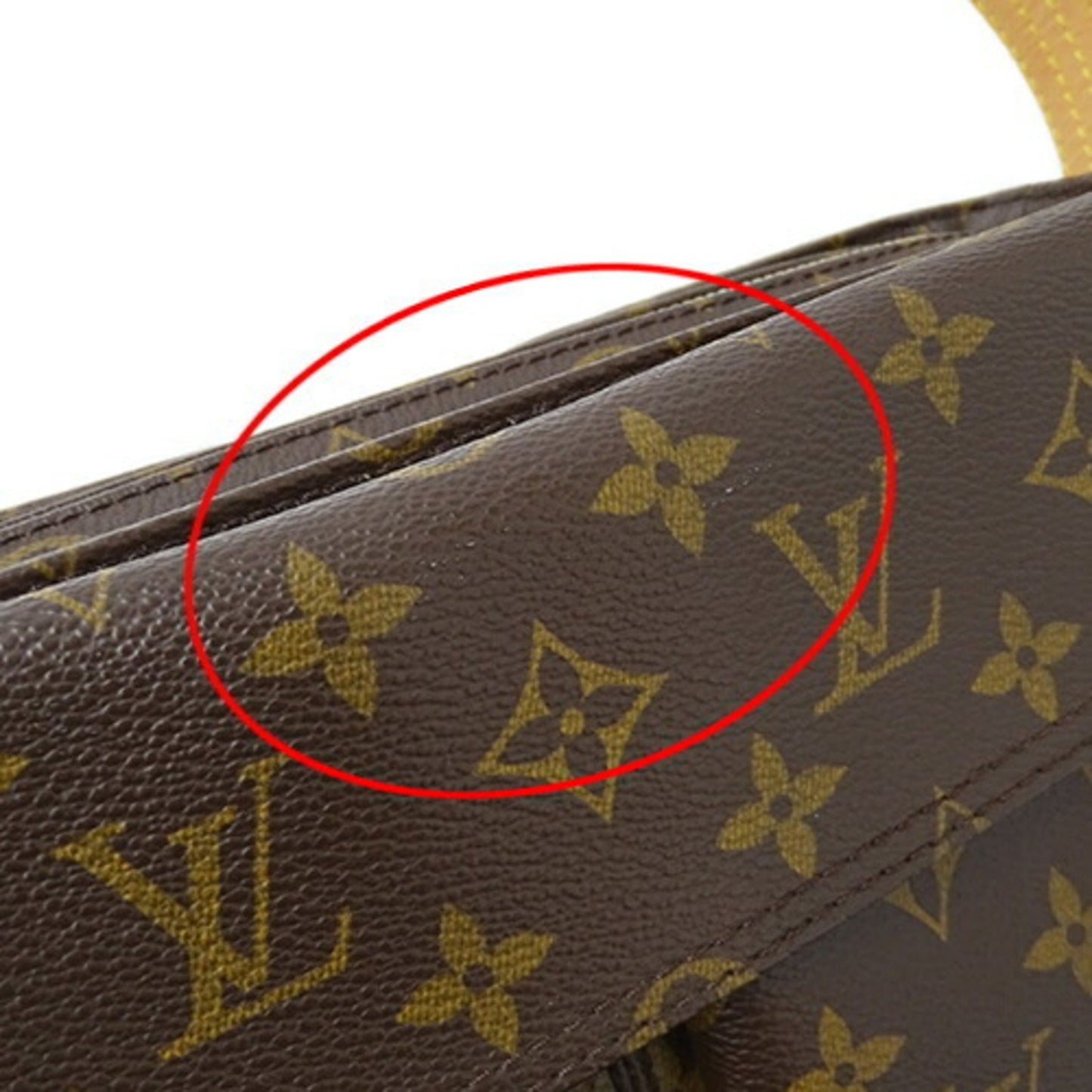 Louis Vuitton Viva Cité