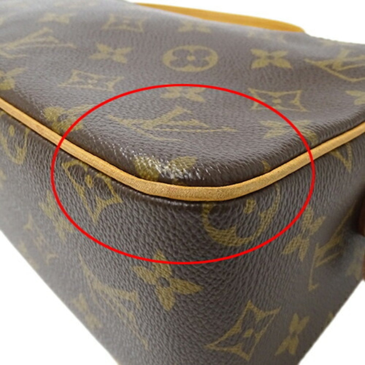 Louis Vuitton Viva Cité