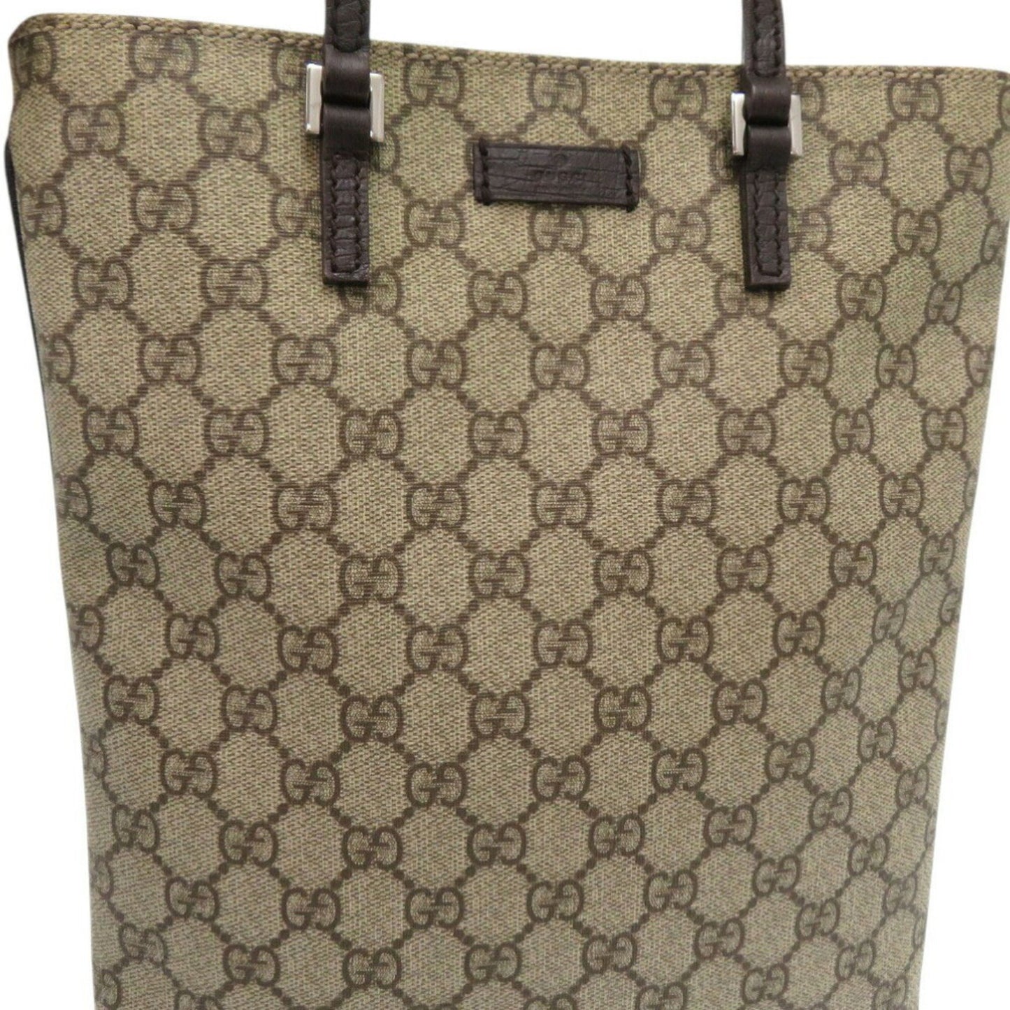 Gucci GG canvas