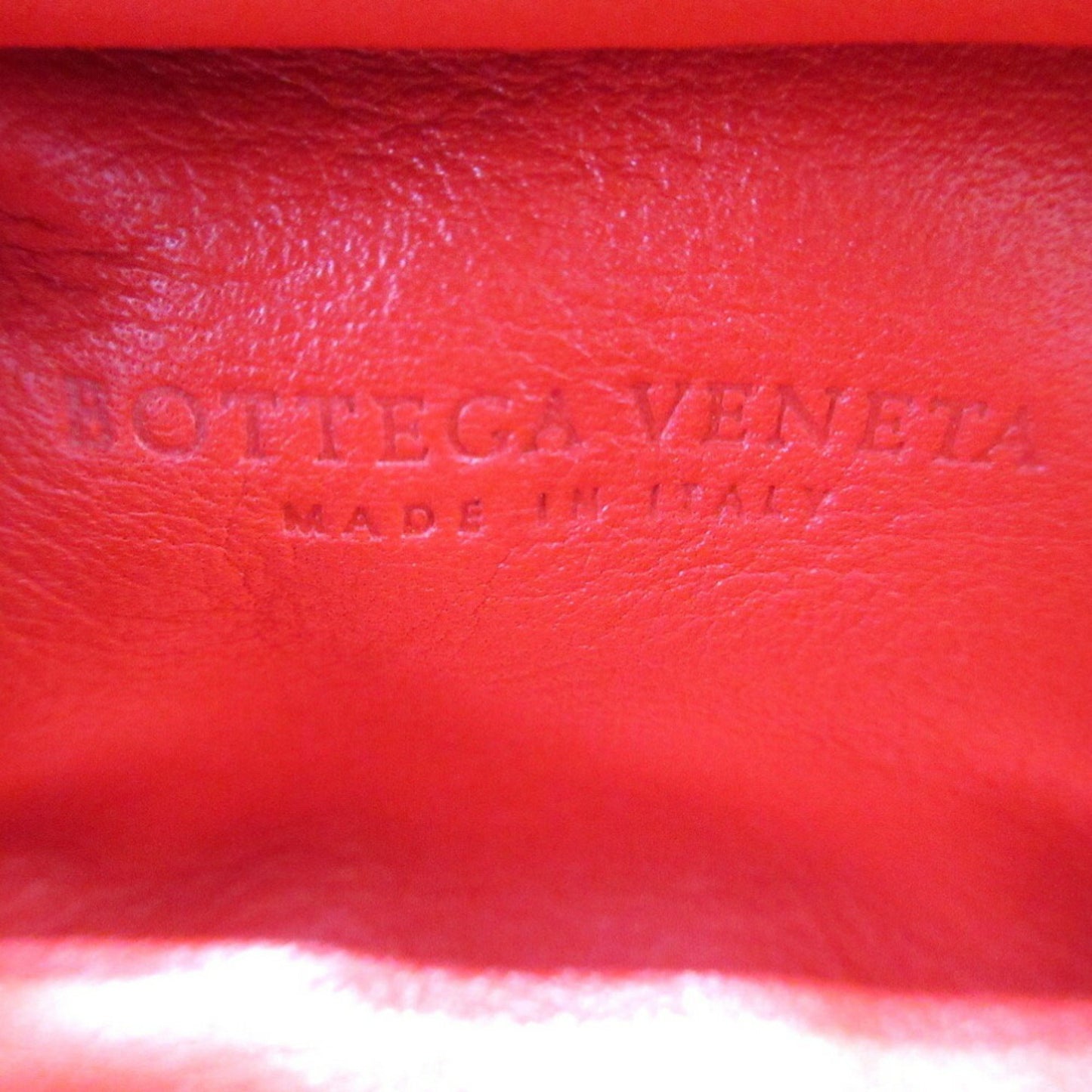 Bottega Veneta The pouch