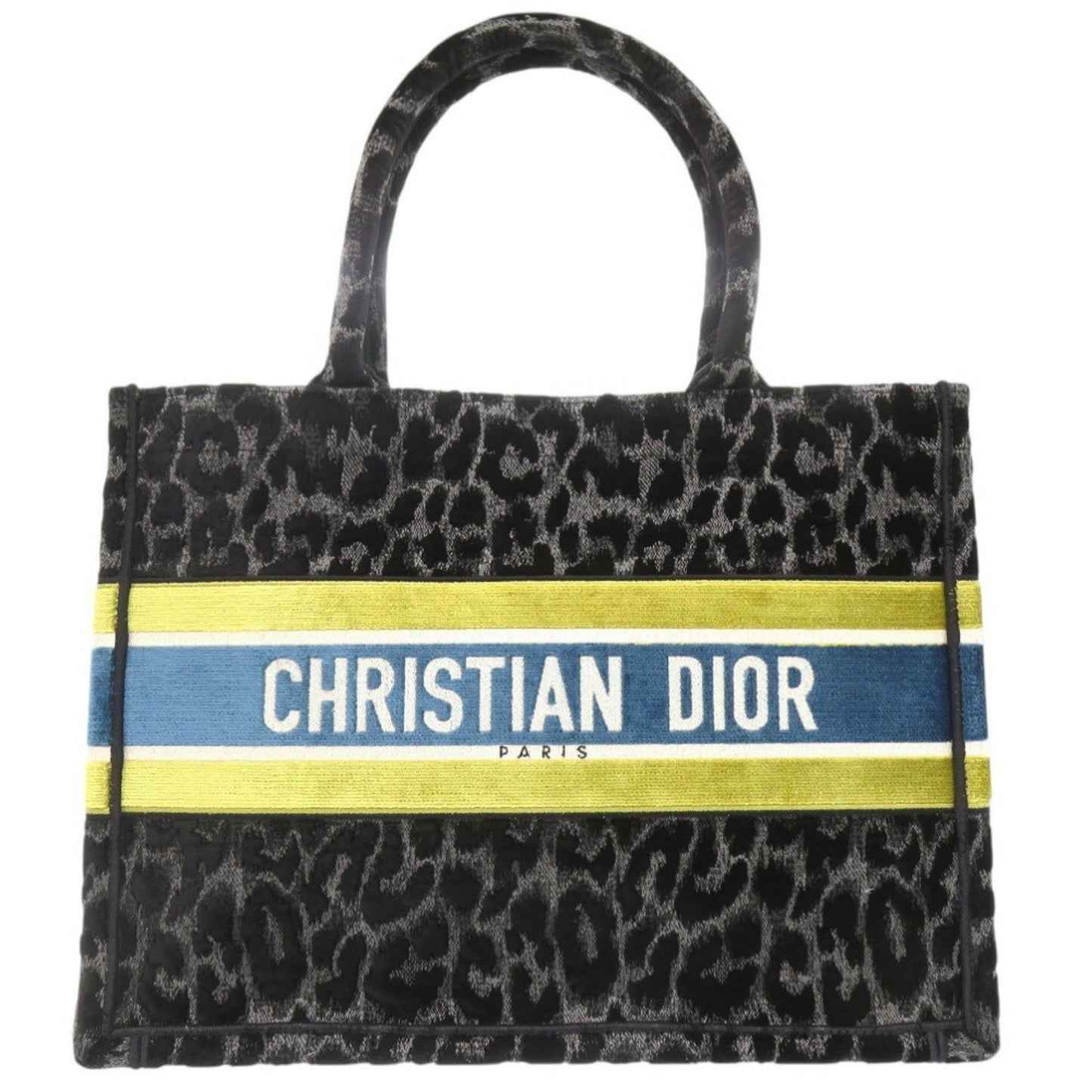 Dior Book Tote