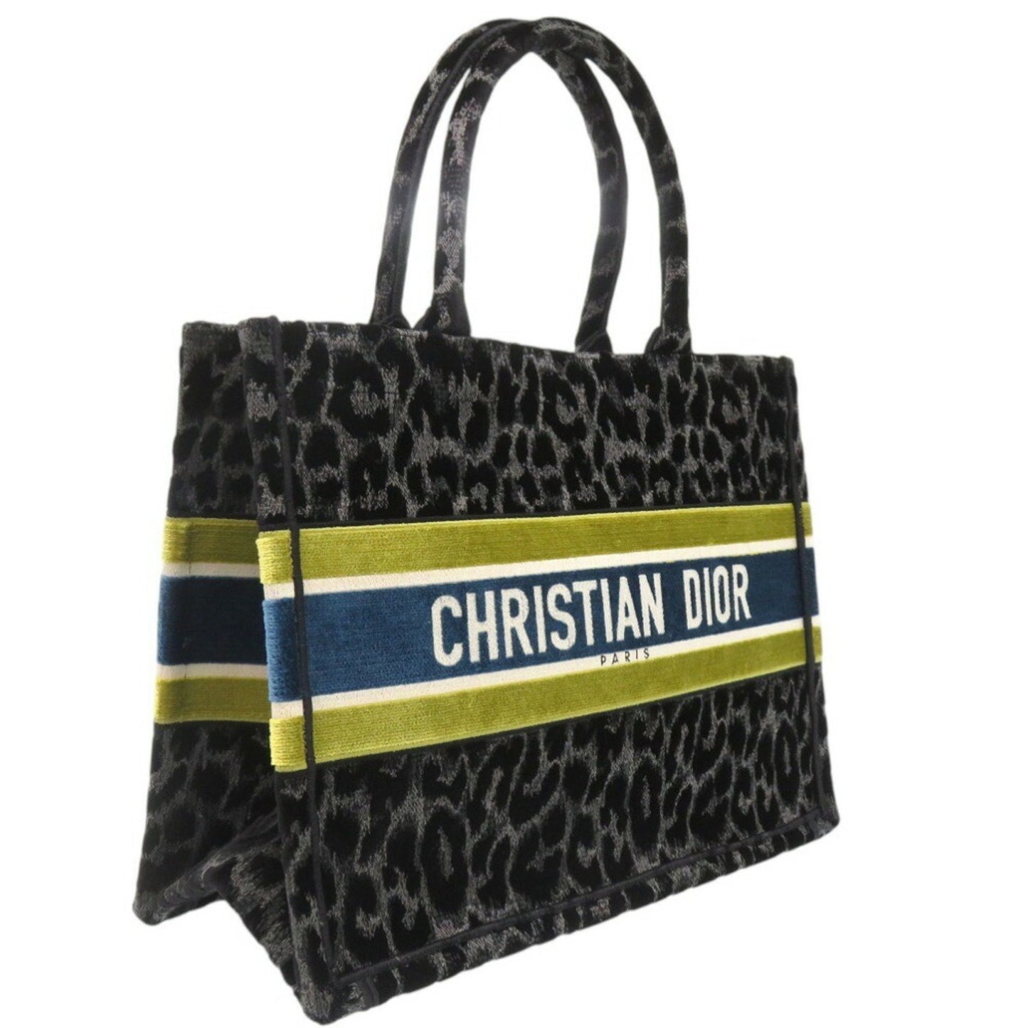 Dior Book Tote