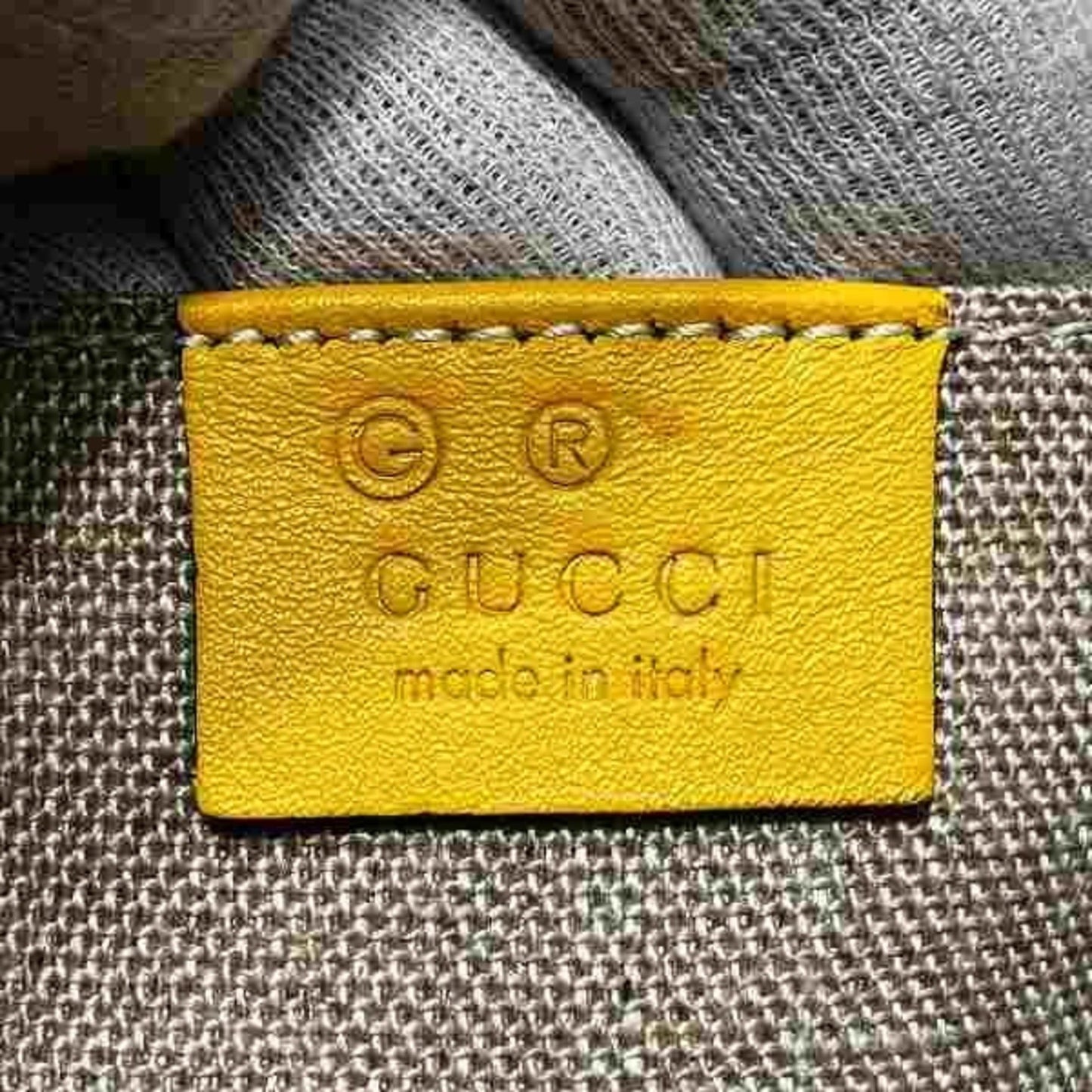 Gucci Micro guccissima