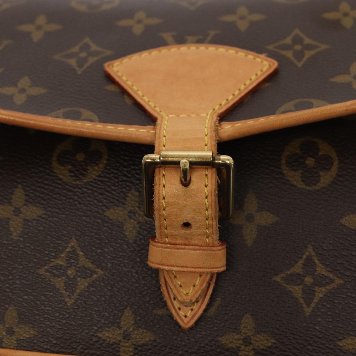 Louis Vuitton Sologne