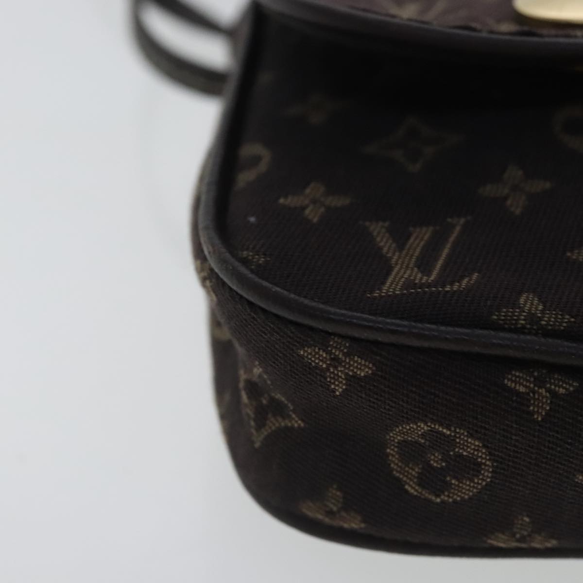 Louis Vuitton Mini Lin