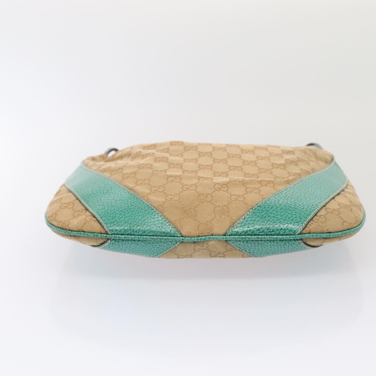 Gucci GG canvas