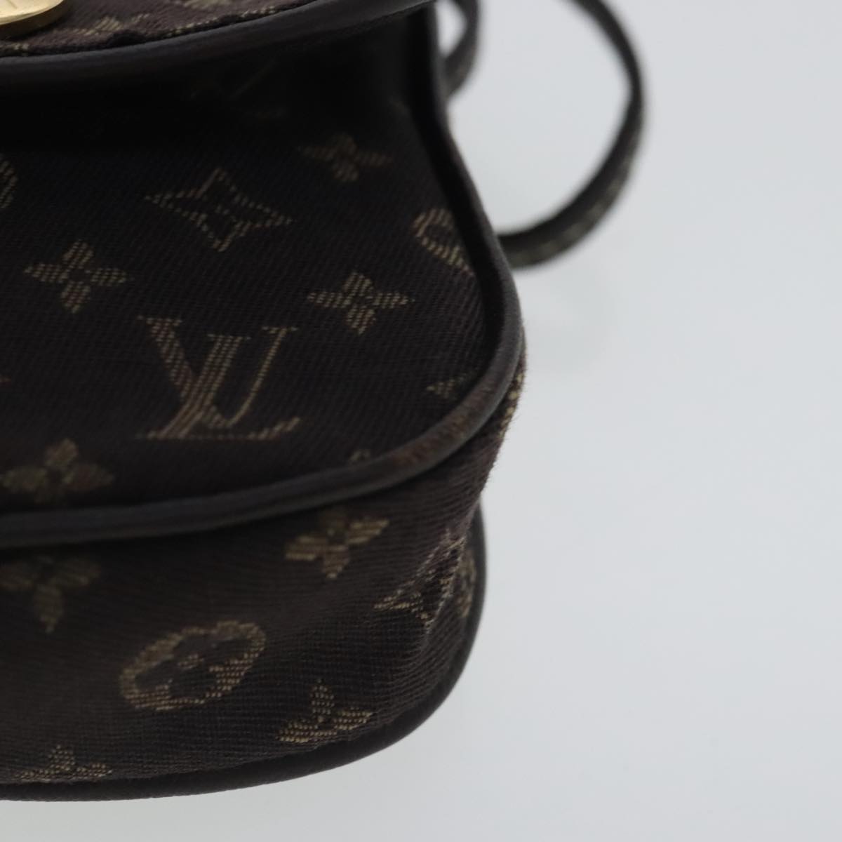 Louis Vuitton Mini Lin