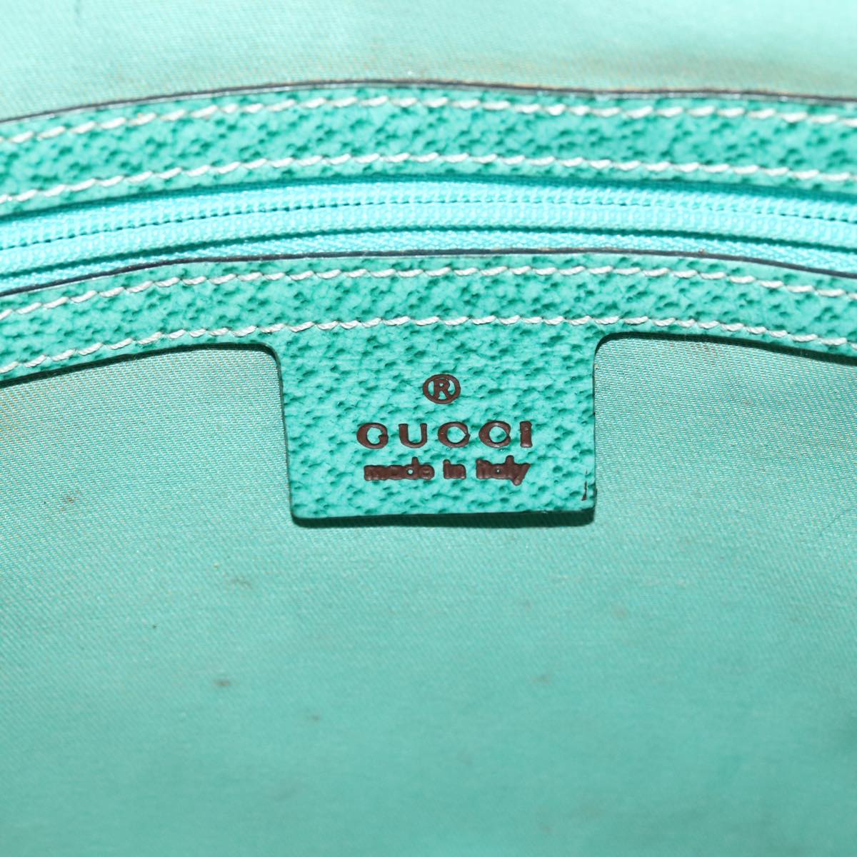 Gucci GG canvas