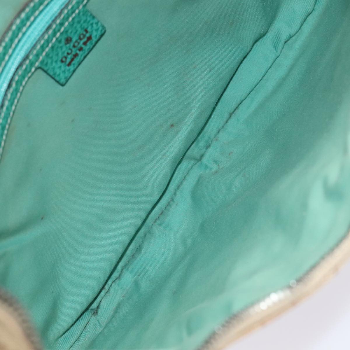 Gucci GG canvas