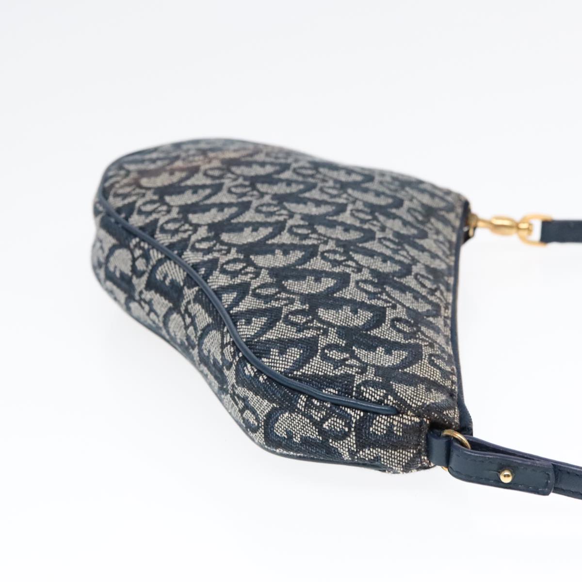 Dior Saddle