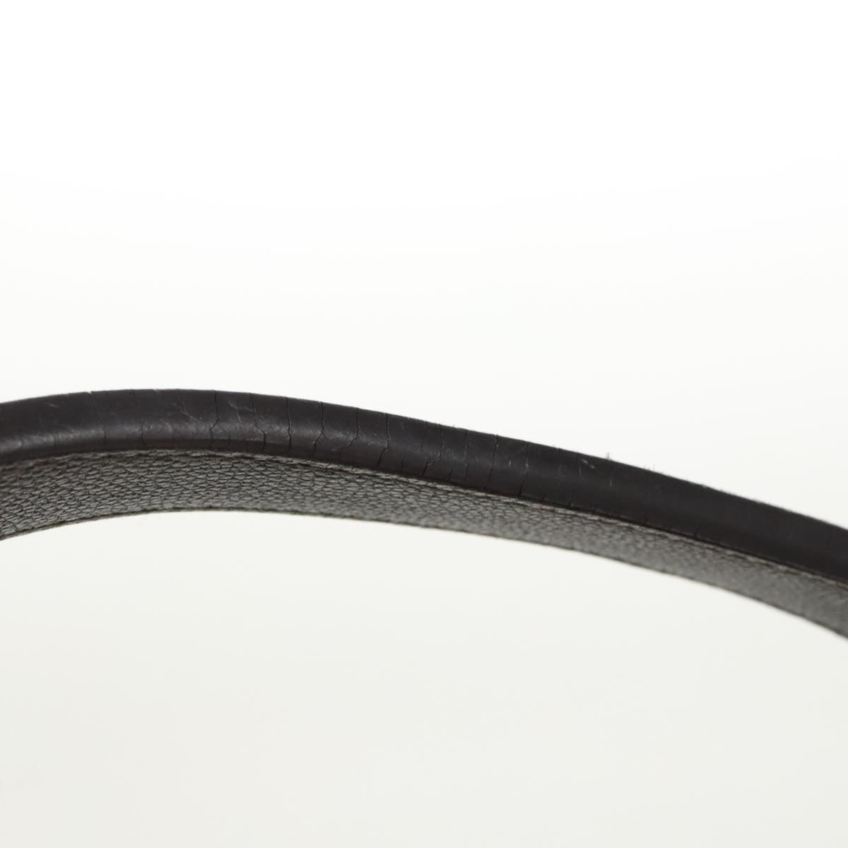 Louis Vuitton Audacieuse