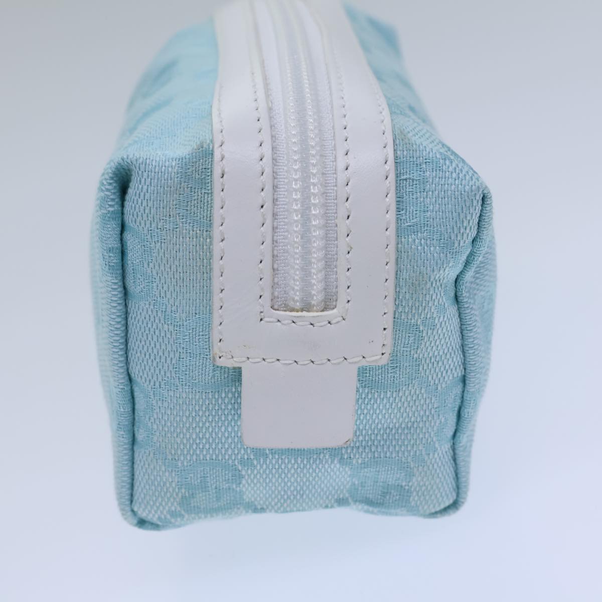Gucci GG canvas