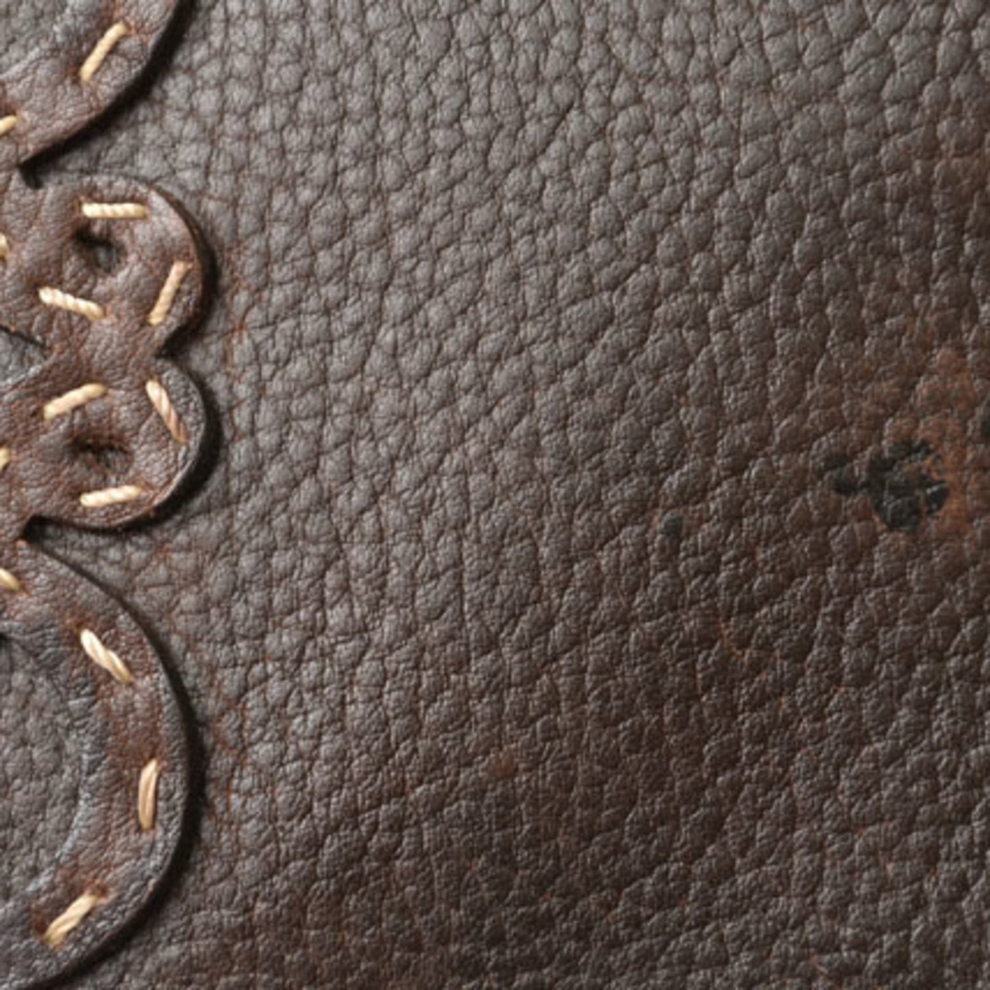 Loewe Amazona