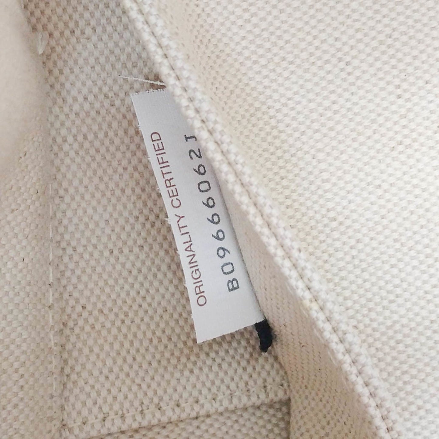 Bottega Veneta Arco