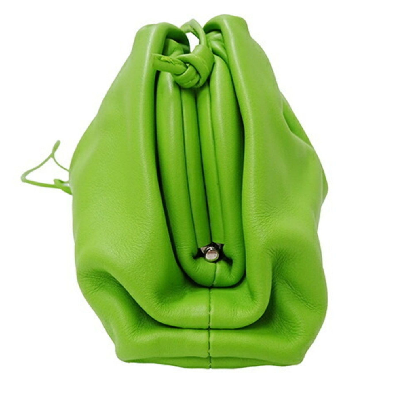 Bottega Veneta The pouch