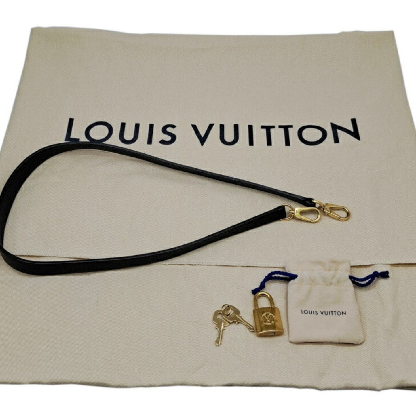 Louis Vuitton City steamer