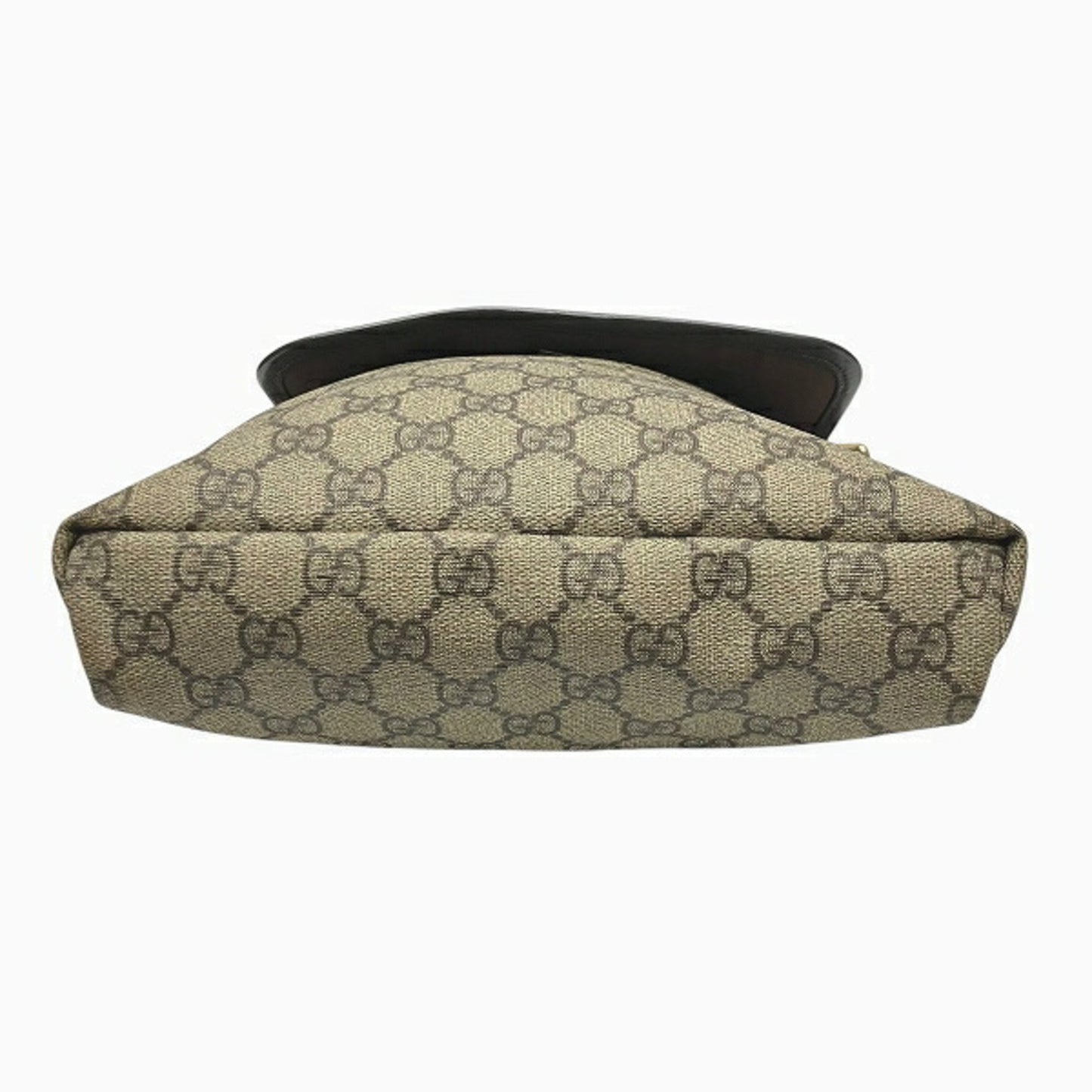 Gucci GG canvas