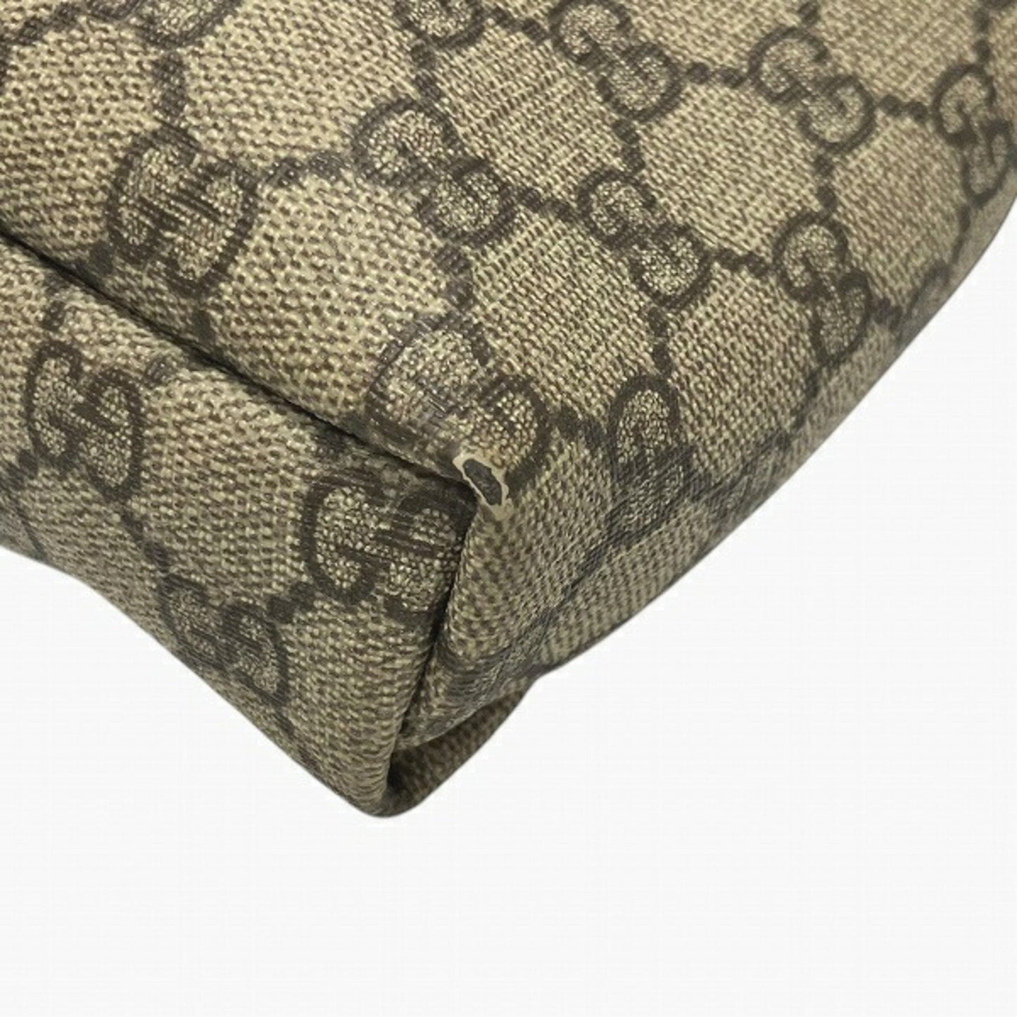 Gucci GG canvas