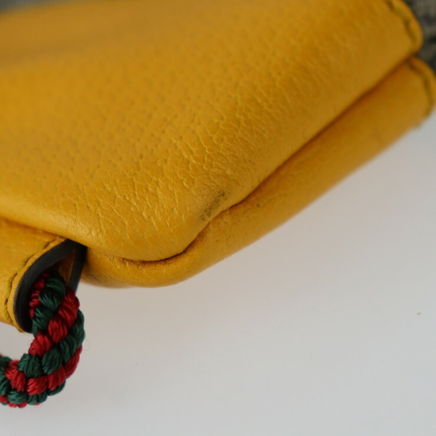 Gucci GG canvas
