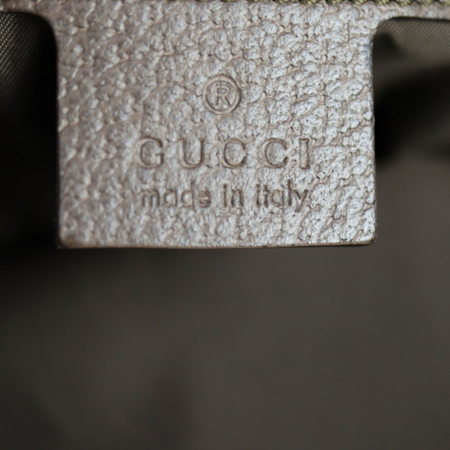 Gucci GG canvas