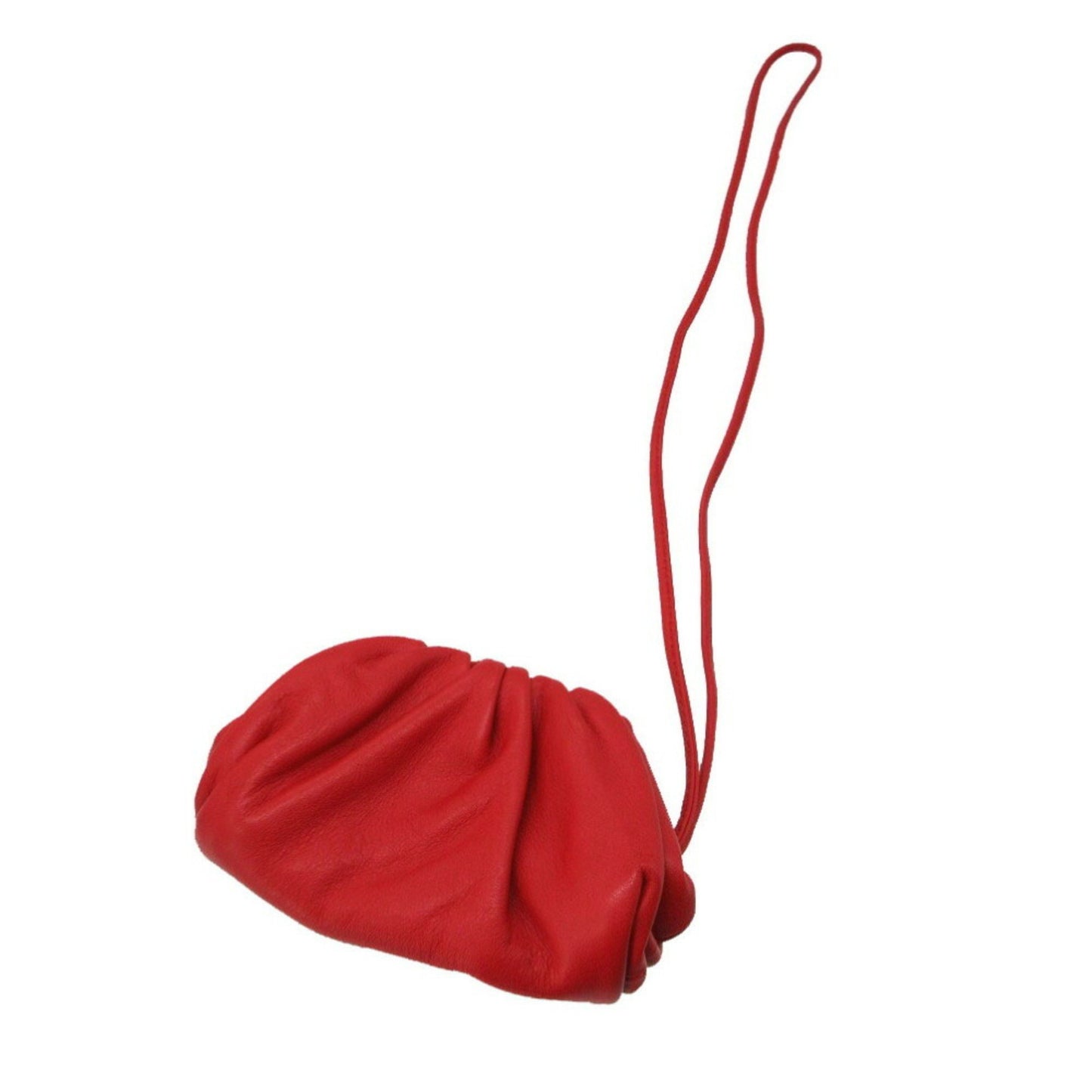 Bottega Veneta The pouch