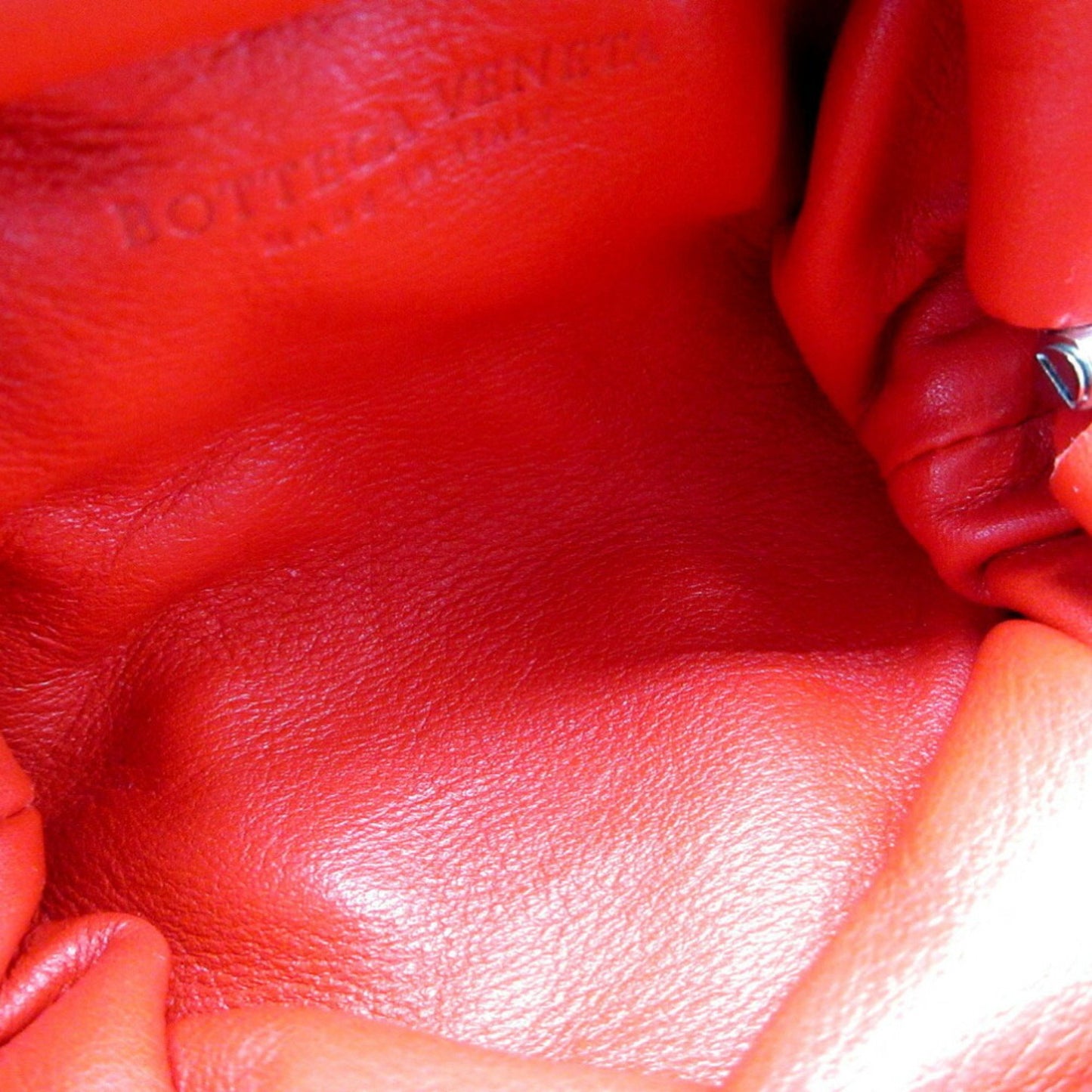 Bottega Veneta The pouch
