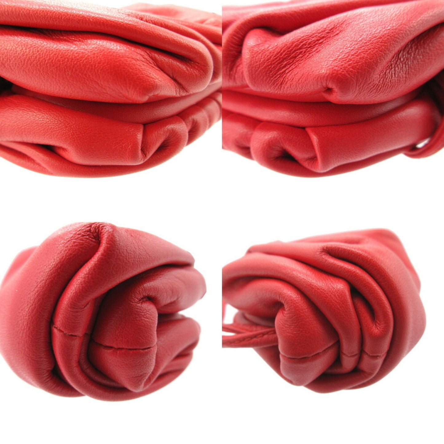 Bottega Veneta The pouch