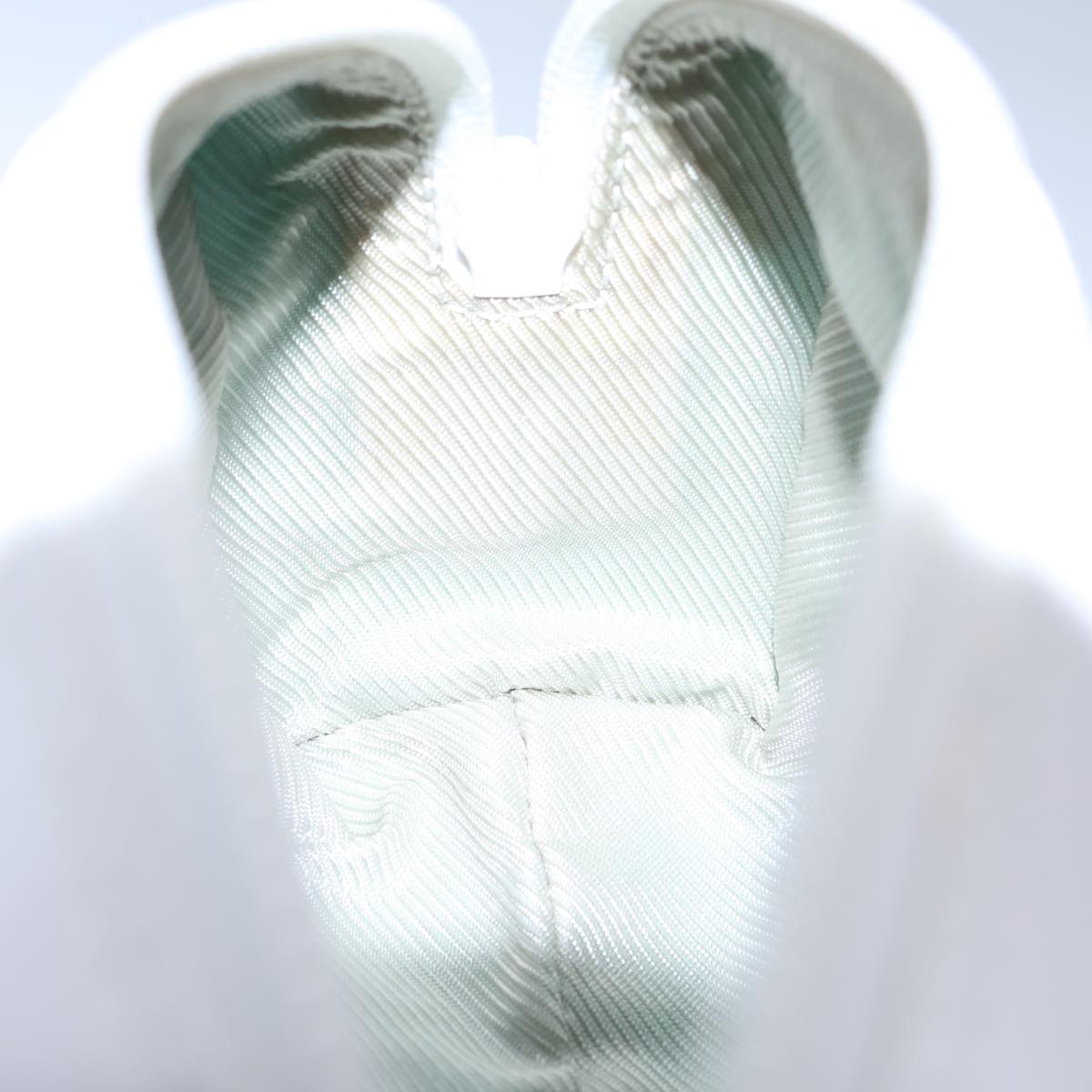 Gucci GG canvas
