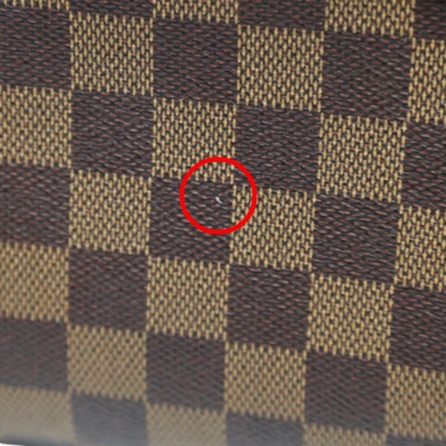 Louis Vuitton Ribera