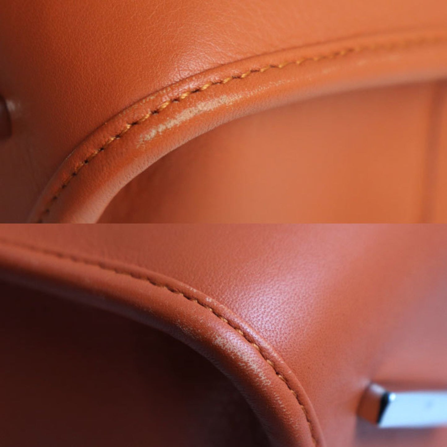 Loewe Amazona